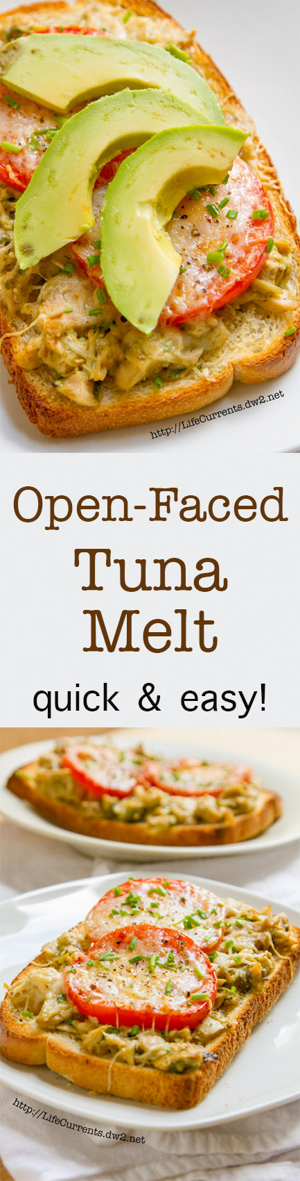 Open Faced Island Trollers Tuna Melt by Life Currents https://lifecurrentsblog.com