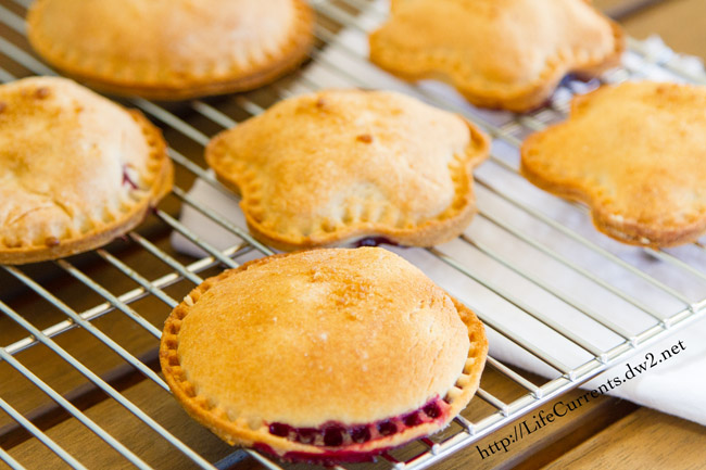 Blackberry Nutella Hand Pies are super fun for back to school lunches! by Life Currents https://lifecurrentsblog.com