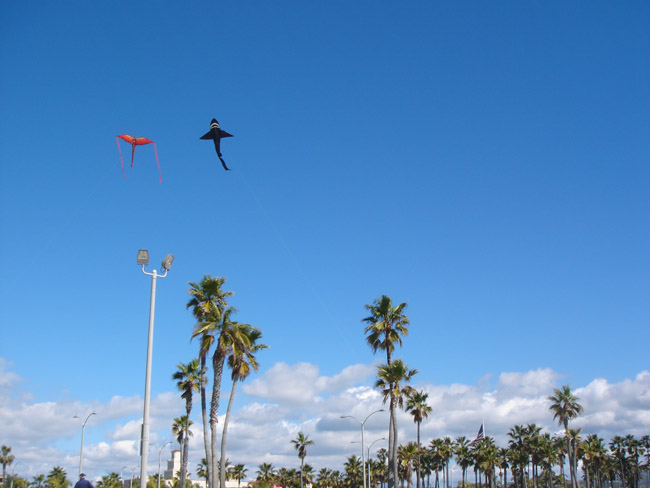 5 Can&rsquo;t Miss Vacation Activities in Newport Beach: Go fly a kite