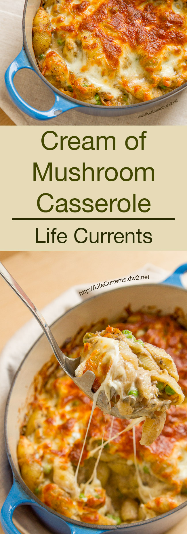 Cream of Mushroom Casserole by Life Currents is a great comfort food dish that your whole family will love!