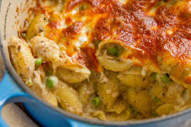 noodles in creamy sauce under melted cheese in a blue casserole dish.