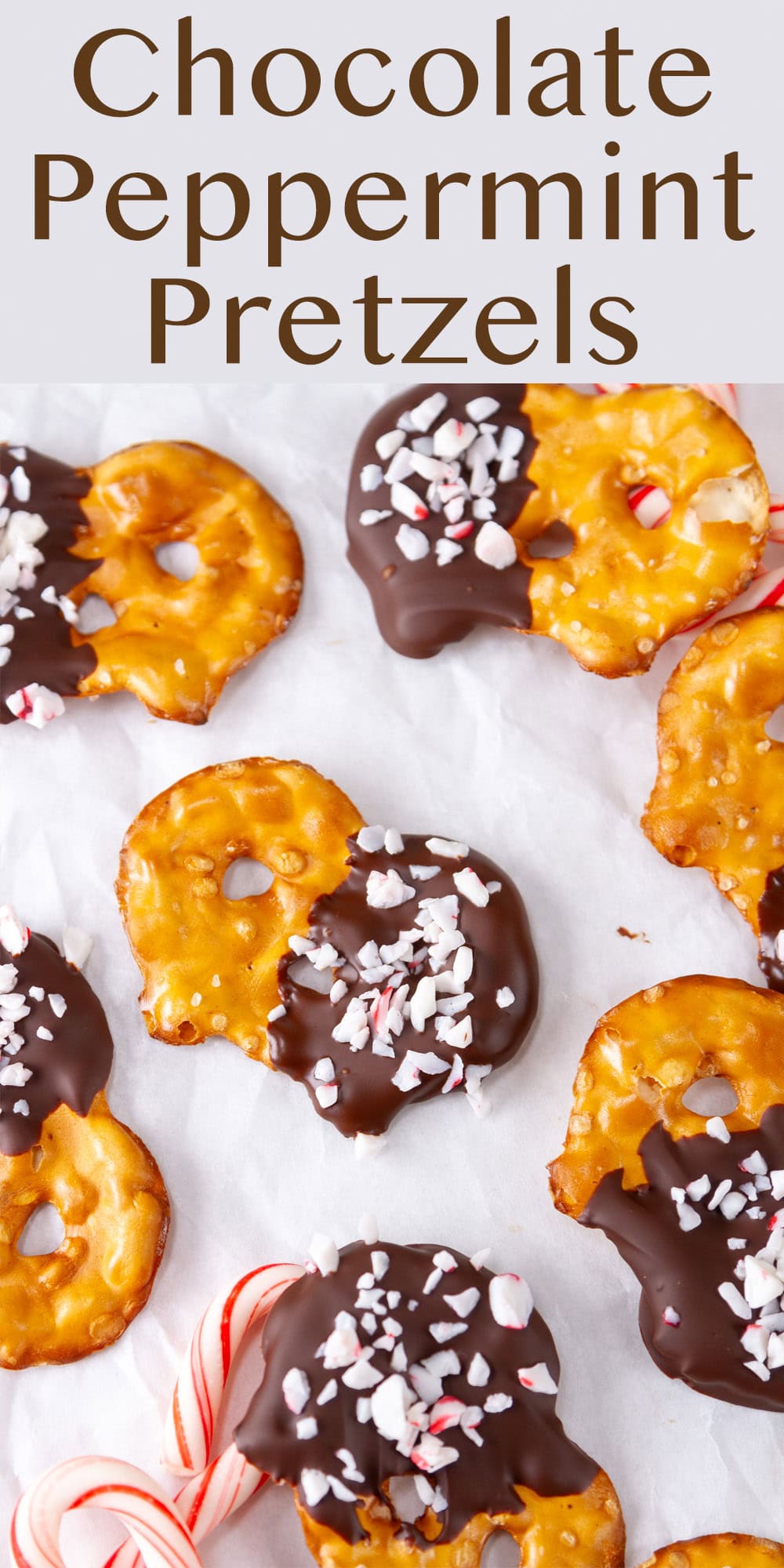 pretzels dipped in chocolate and coated with crushed peppermint.