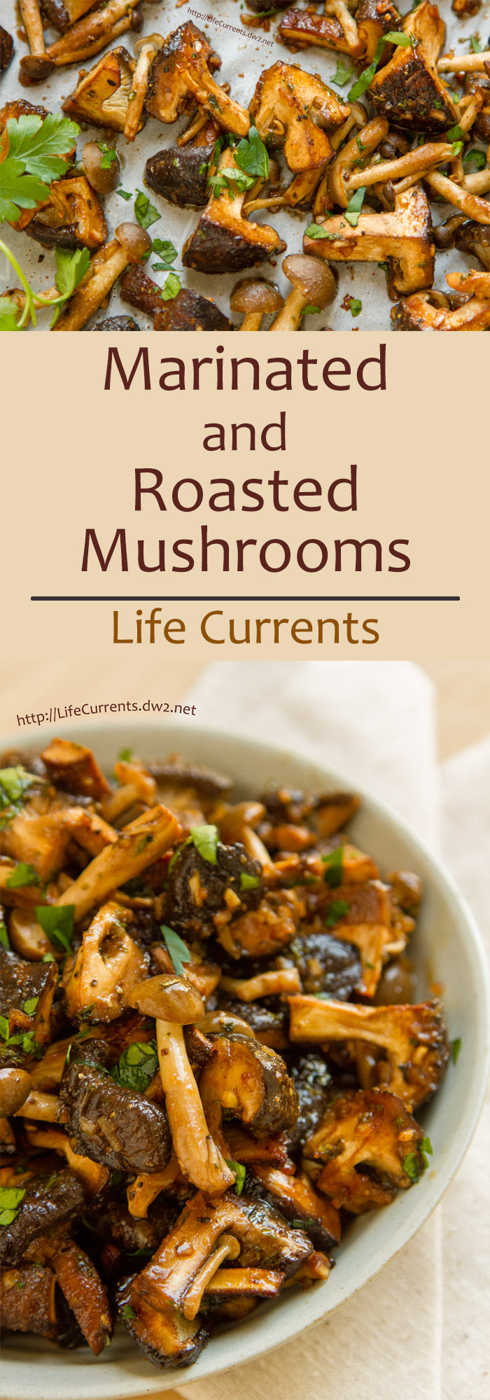 Marinated and Roasted Mushrooms are so easy to make and super delicious! Perfect for a holiday dinner! by Life Currents https://lifecurrentsblog.com/wp-content/uploads/2016/03/Roasted-Mushrooms-pin.jpg