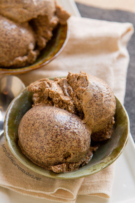 Mocha Frozen Yogurt -- Sometimes a recipe comes out so yummy that I simply can't wait to devour all of it! This one is like that. I had a hard time waiting to take the photos because I wanted to eat all of this Mocha Frozen Yogurt! Make this for yourself, soon!! You'll be happy you did! #ad #soyfoodsmonth 