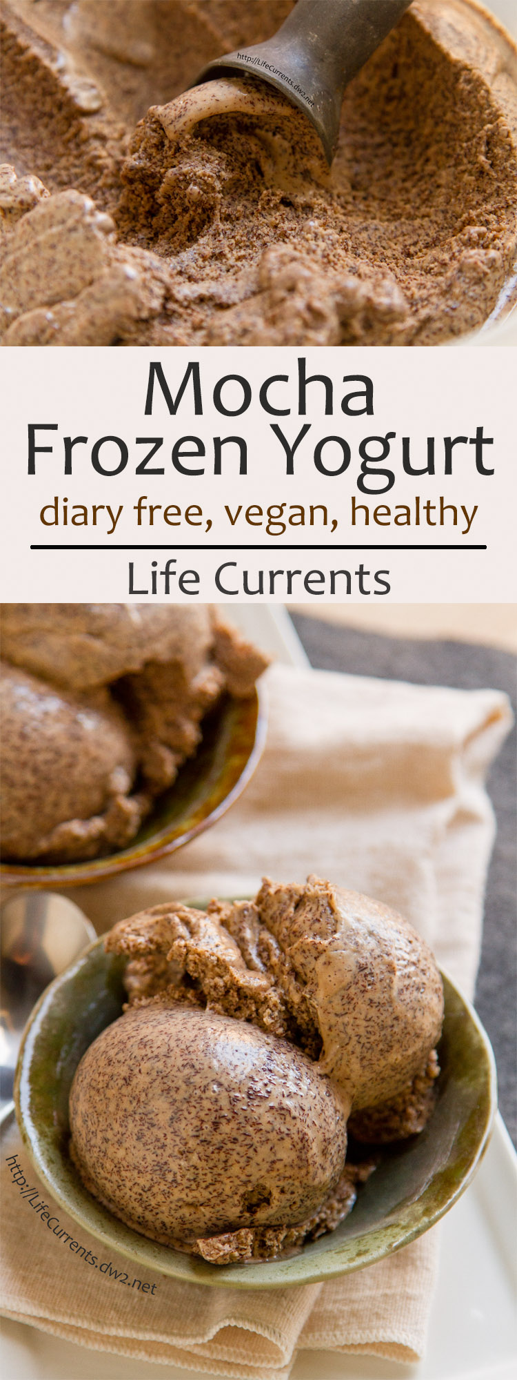 Mocha Frozen Yogurt is vegan, dairy free, high protein, and super yummy! by Life Currents