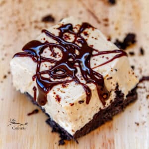 looking down on a cheesecake bite that's drizzled with chocolate and lots of cookie crumbs around it.
