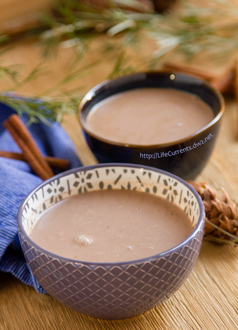 Mexican Mocha - thick, rich, healthy, and perfect for the cold winter months 