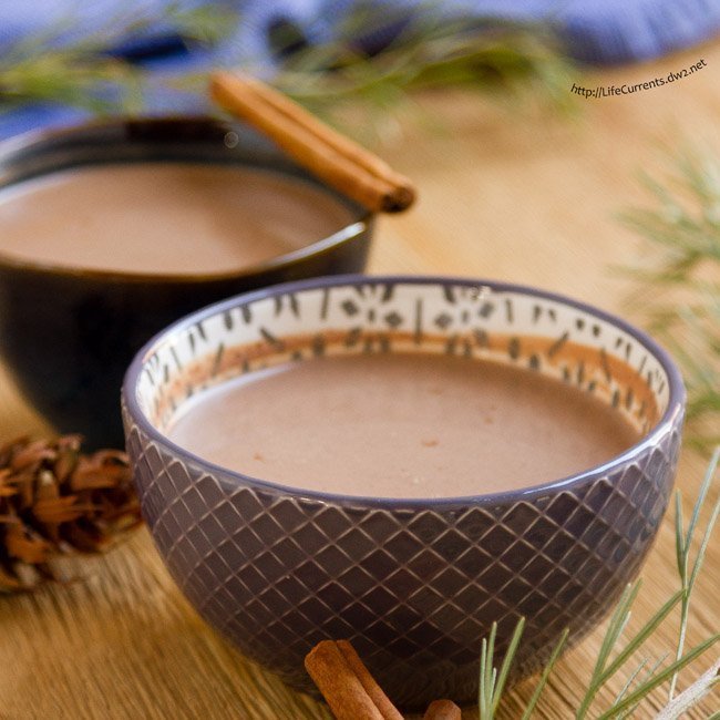 Mexican Mocha - thick, rich, healthy, and perfect for the cold winter months 