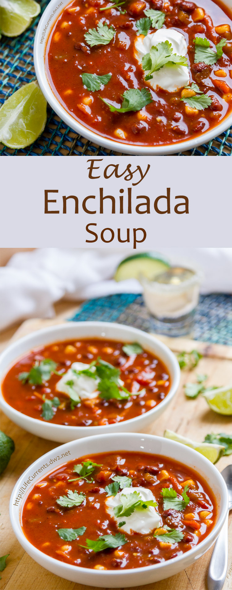 Last night I wanted some comfort food. Something warm and happy to fill the soul and the tummy. Soup, that kind of night called for soup. It was really good! Full of flavor. Quick and easy to make. A total keeper.