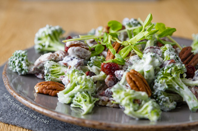 Cranberry Pecan Broccoli Salad is a great salad that you can make ahead & take to potlucks and family gatherings; it's filled with veggies and super yummy! Broccoli Salad