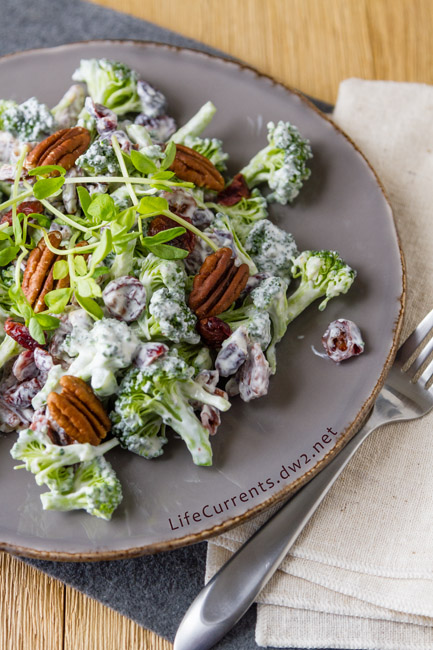 Cranberry Pecan Broccoli Salad is a great salad that you can make ahead & take to potlucks and family gatherings; it's filled with veggies and super yummy! Cranberry Pecan Broccoli Salad is a great salad that you can make ahead & take to potlucks and family gatherings; it's filled with veggies and super yummy!