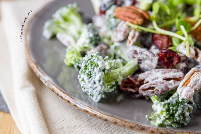 Cranberry Pecan Broccoli Salad