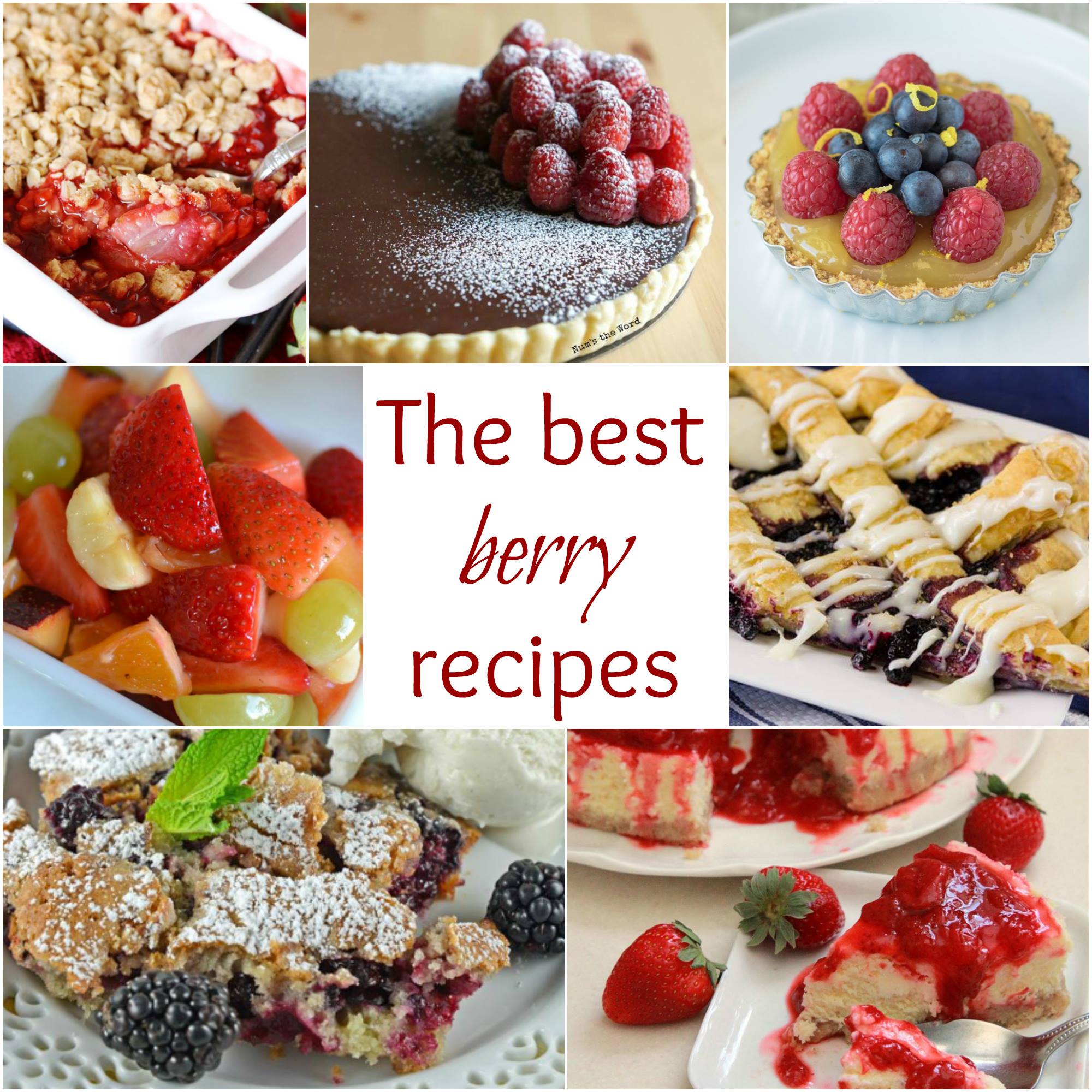The Best Berry Recipes - a collection of yummy greats! 