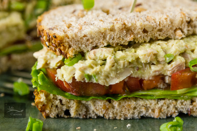 Avocado Tuna Salad Sandwich Recipe Mayonnaise free 