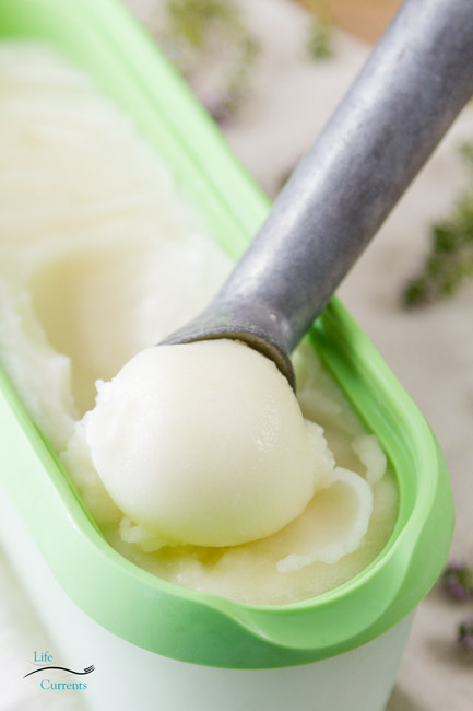 sorbet being scooped out.