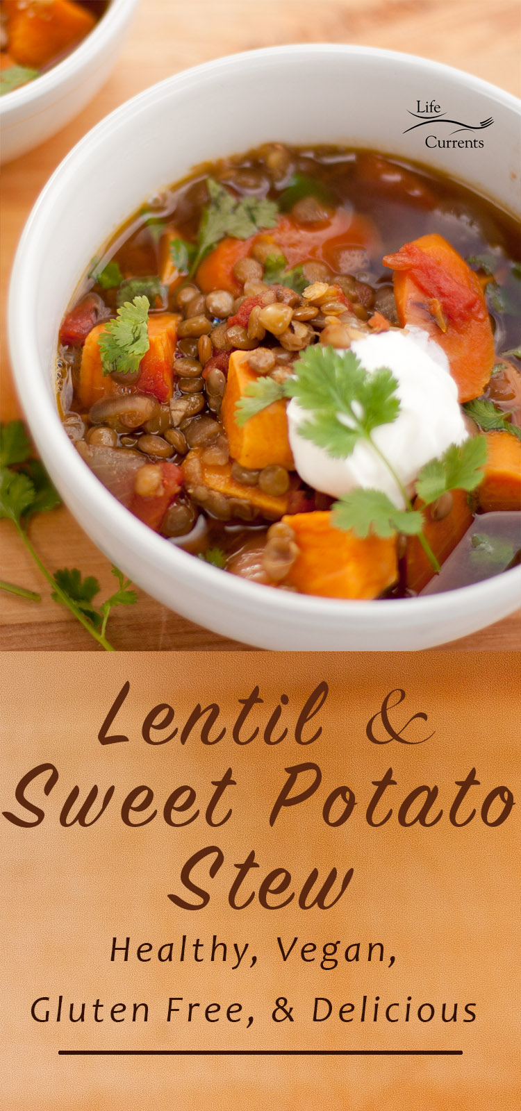 Lentil and Sweet Potato Stew A great, easy to make, healthy vegan dinner that's made with ingredients I usually have in the house 