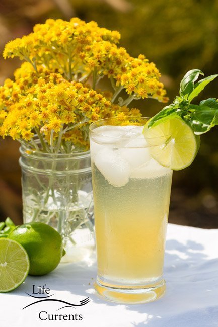 Basil Lime Sparkling Green Tea