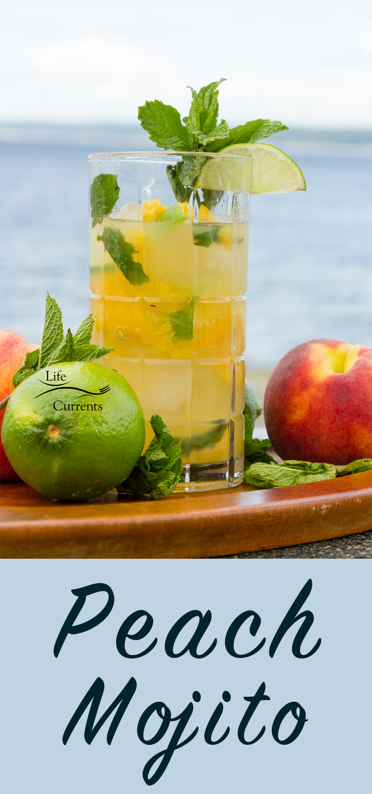 Peach Mojito - nothing better than enjoying a refreshing summer peach mojito drink poolside or at the beach - fresh peaches, mint and rum!