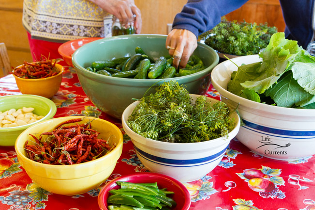 Spicy Garlic Dill Pickles - all the ingredients are in pretty bowls on the table all the ingredients on a table, hands picking up ingredients.