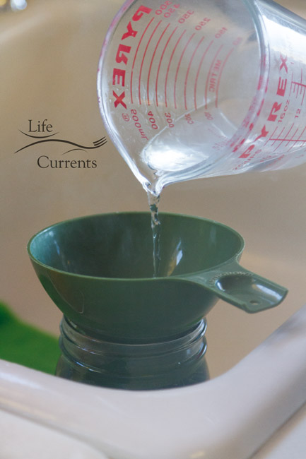 Spicy Garlic Dill Pickles - pouring the brine in Spicy Garlic Dill Pickles - pouring the brine in