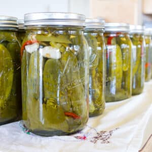 Jars of dill pickles lined up on a cloth cooling.