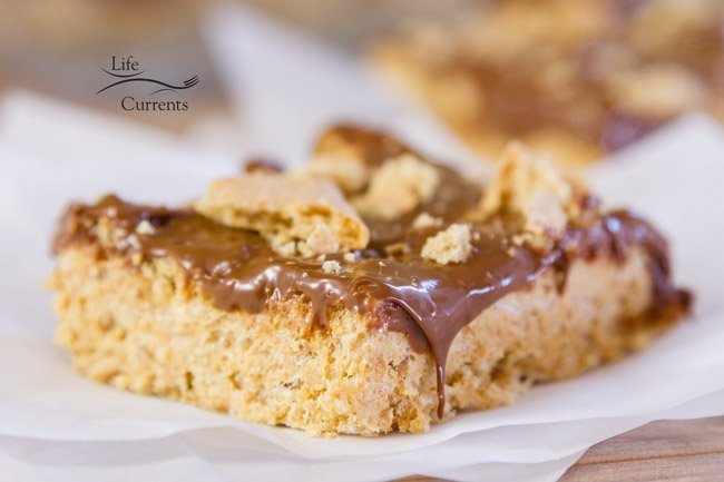 S'mores Krispie Treats Recipe - the perfect easy summer treat that you can make year-round 