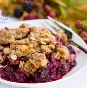 Blackberry Peach Fruit Crisp with Oatmeal Cookie Crumble