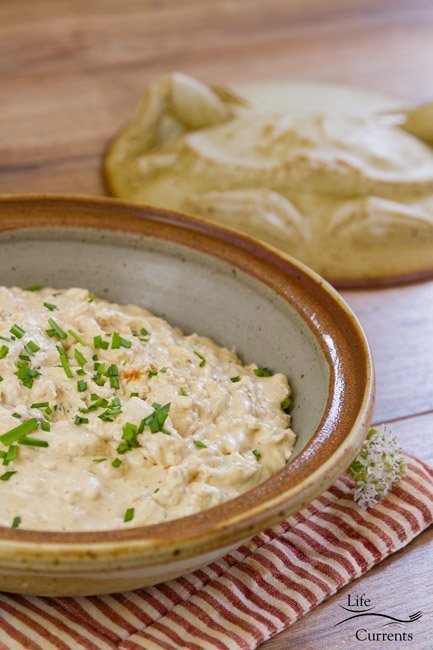 Crock Pot {slow cooker} Hot Crab Dip -- easy to make and delicious! 