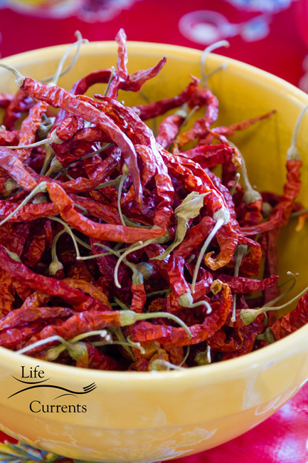 Spicy Garlic Dill Pickles - dried red chilies, these are called Ring of Fire Chilies dried red chiles.