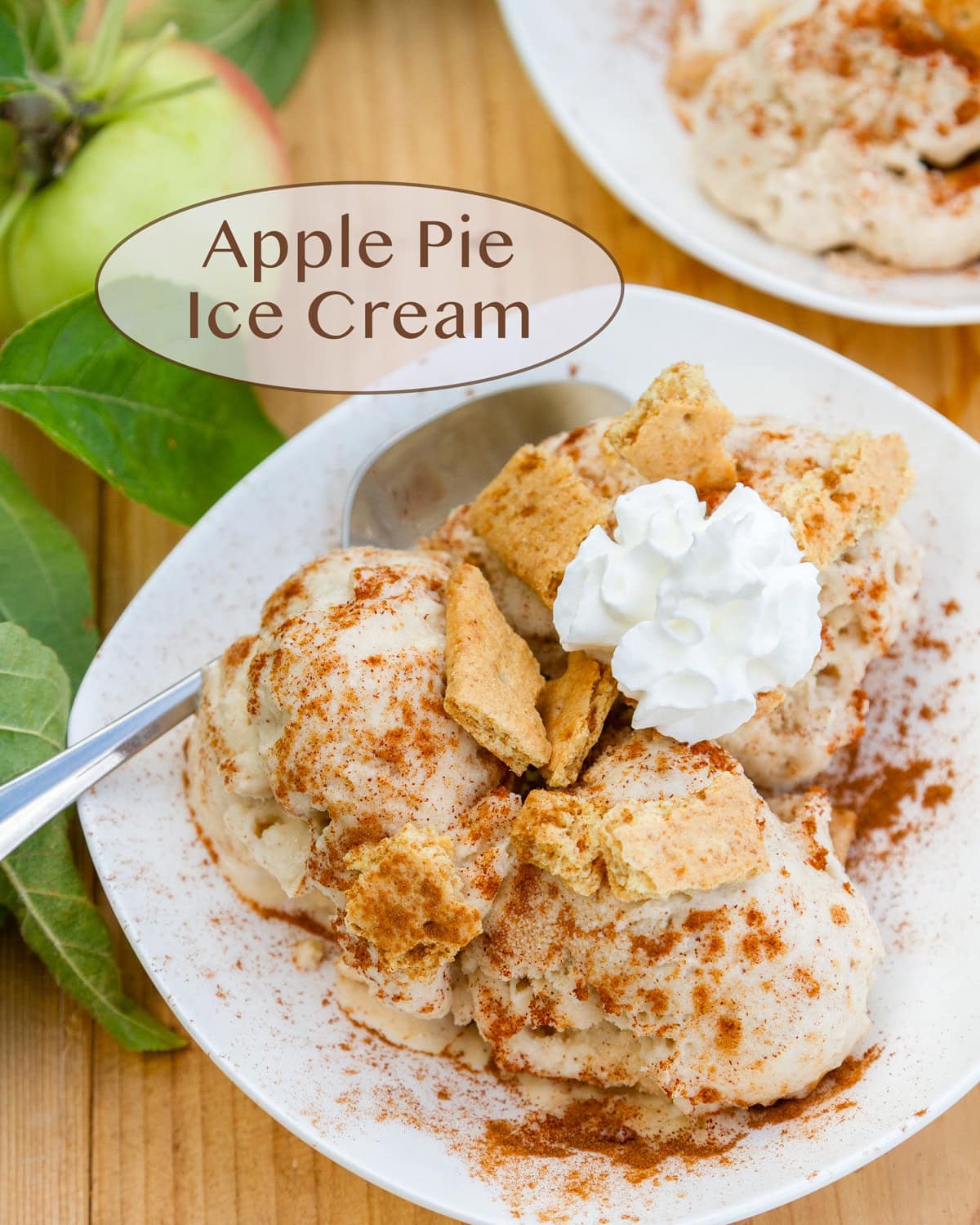 looking down into a bowl of ice cream topped with whipped cream, cinnamon, and graham crackers, some apple tree leaves to the left.