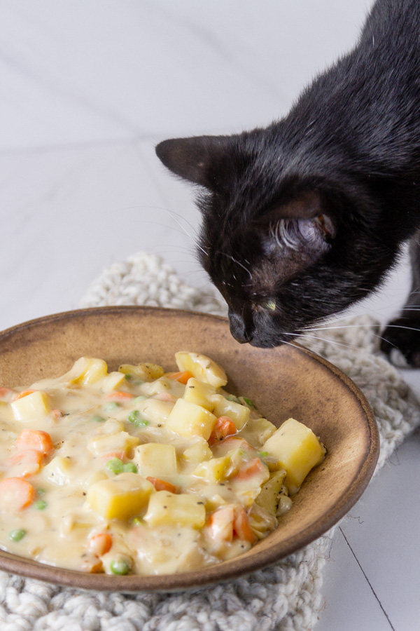 black cat looking at a bowl of soup.