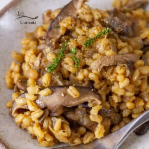 close up on baked barley with mushrooms on a white plate with a fork, garnished with fresh thyme.