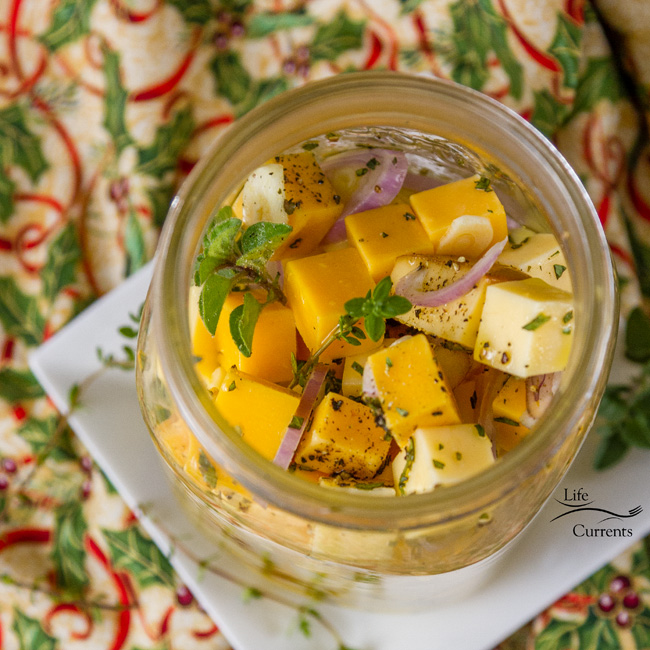 Marinated Cheese and Herbs Appetizer - perfect for holiday parties, new year's eve parties, or any potluck! Marinated Cheese and Herbs Appetizer - perfect for holiday parties, new year's eve parties, or any potluck!