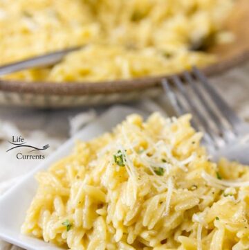 This Garlic Parmesan Pasta is so good. Creamy and delicious. Easy to make, comes together in just a few minutes. Full flavored, and garlicky. Complex, but not too much garlic &ndash; it&rsquo;s a great balance of flavors! Perfect comfort food.