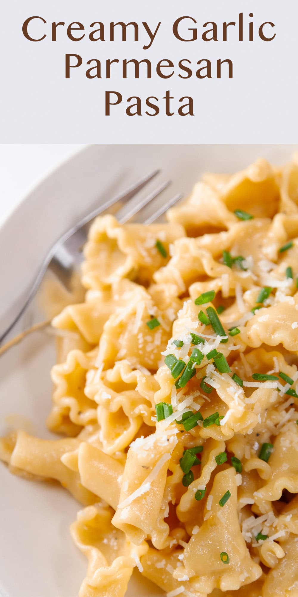 close up on pasta in garlic Parmesan sauce topped with chives.