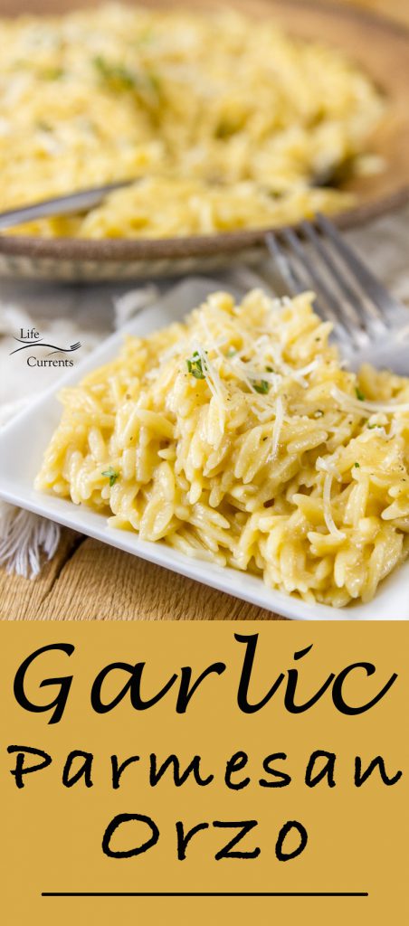 a small dish of garlic parmesan orzo in front of the full serving dish.