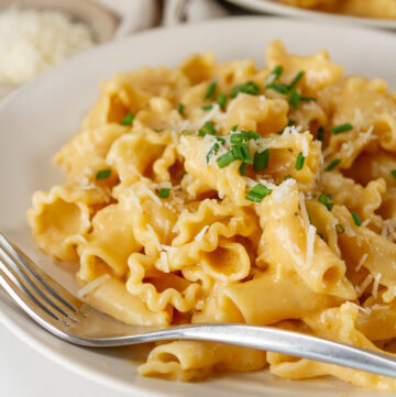 square crop of a bowl of pasta in creamy garlic sauce topped with chives and a fork in the bowl.