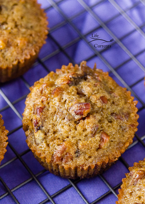 Most Popular Recipes of 2018: the year in review featured recipe for Pecan Pie Muffins Most Popular Recipes of 2018: the year in review featured recipe for Pecan Pie Muffins - easy to make, super yummy