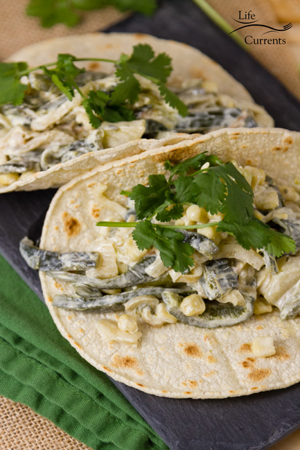 Sheet Pan Creamy Poblano Tacos are delicious. Mild earthy poblano chiles broiled until soft, mixed with charred onions, fresh mildly sweet, crisp, juicy chayote squash, and browned sweet corn. All mixed in a nice creamy sauce. 