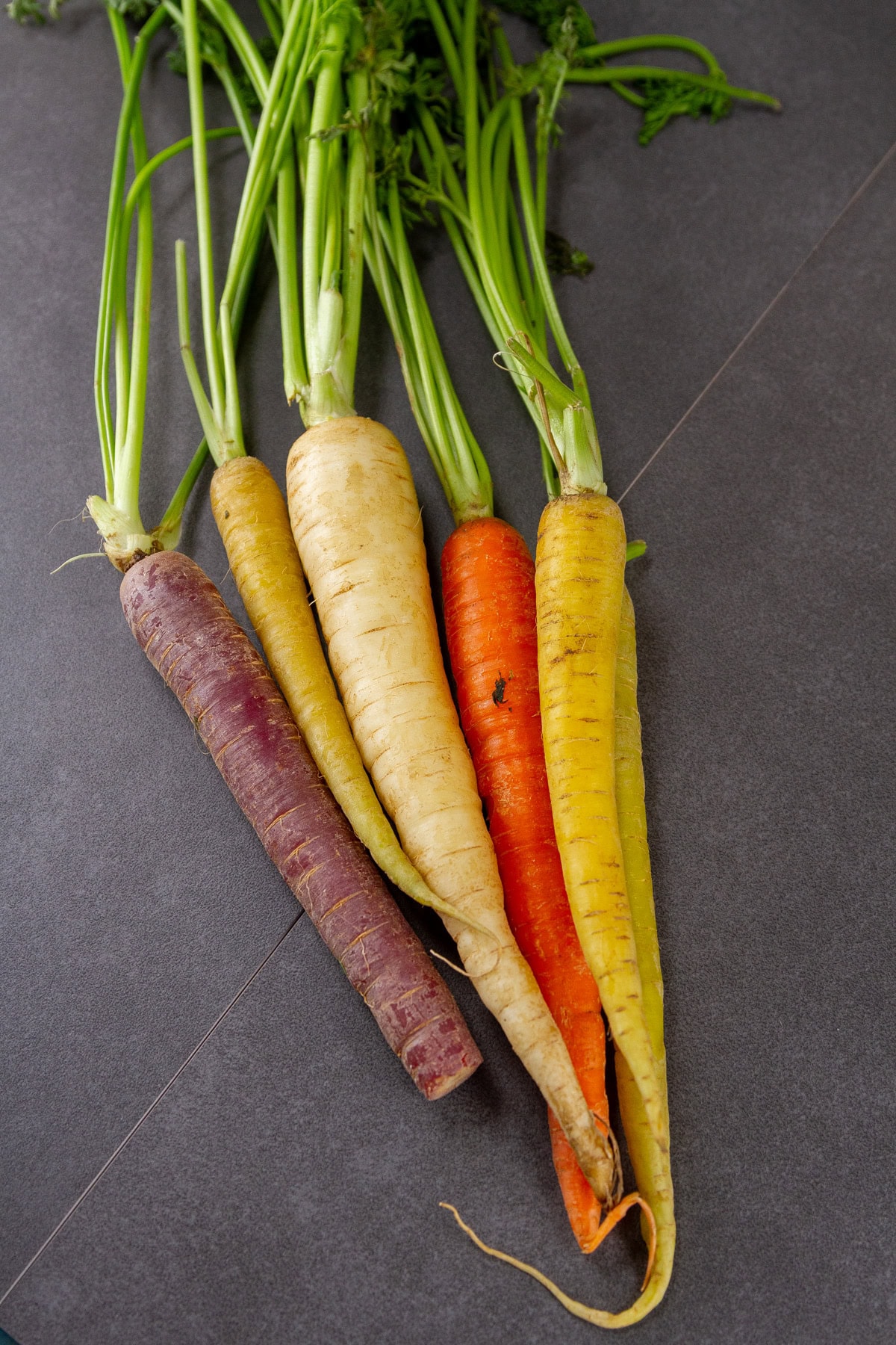 rainbow carrots on a black background.