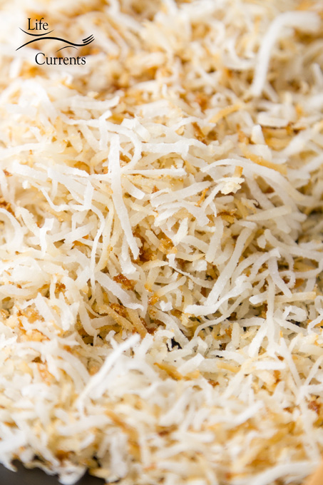 How to Toast Coconut - I give you two methods: the oven and stove-top How to Toast Coconut - close up on the toasted coconut on a plate