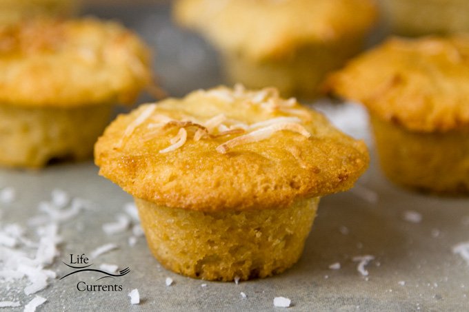 a mini muffin topped with coconut shreds on a grey background.