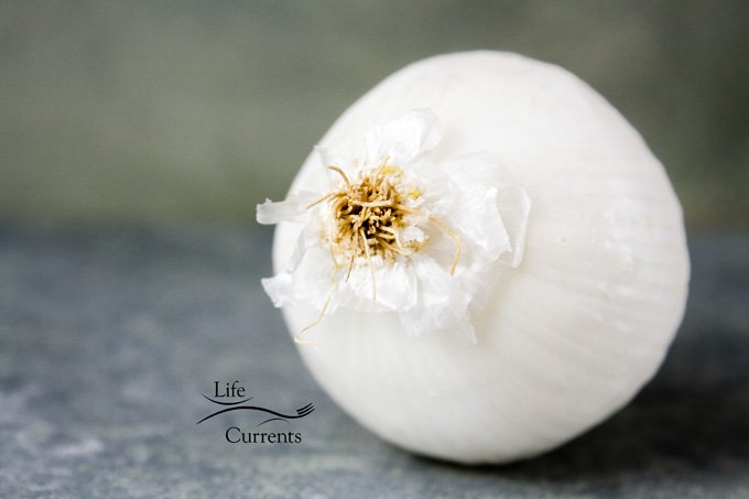 Simple Veggie Side Dishes that are perfect for the holidays - onions