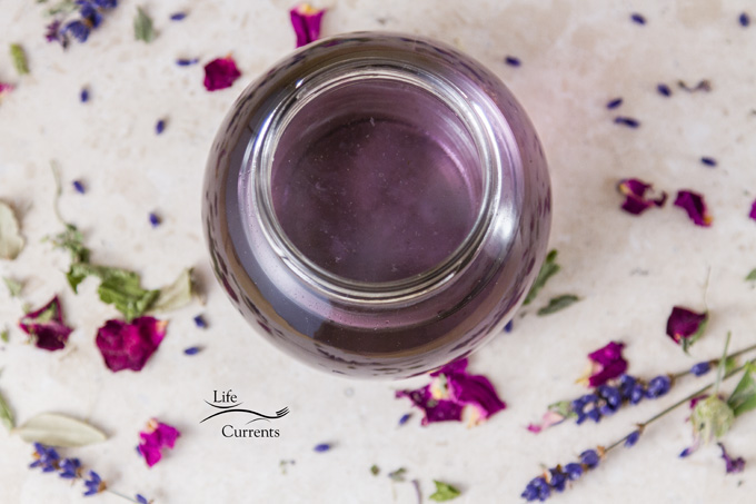 Lavender Simple Syrup Recipe - add the beautiful floral flavor of lavender to desserts and drinks looking down into a glass jar filled with purple liquid, dried flowers around it.
