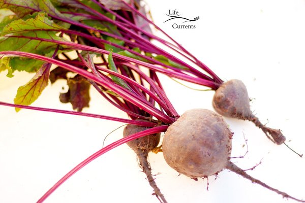 fresh beets with tops on on a white background.