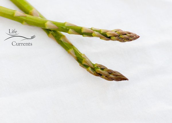 asparagus stalks that have tightly closed flower heads (buds).