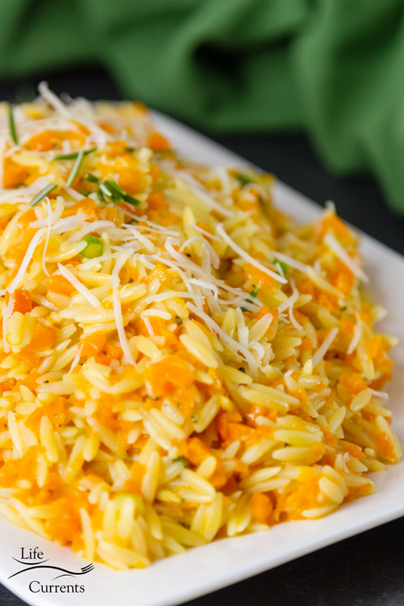 close up on carrots and orzo garnished with Parmesan and rosemary