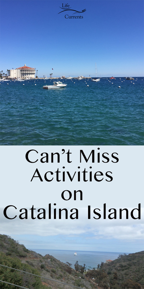 Can't Miss Activities on Catalina Island - taken on one of the land tours from the top of the island