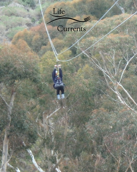 Can't Miss Activities on Catalina Island - Zip Lining 