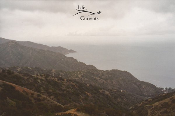 Can't Miss Activities on Catalina Island - taken on one of the land tours from the top of the island
